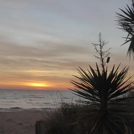 Golden Paradise 007 Port Nat Apartment *